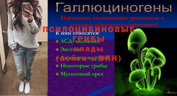 хмурый Бронницы